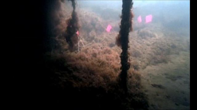 SEARCH FOR BATTLESHIP BISMARCK DISCOVERED BY ROBERT BALLARD! NATIONAL GEOGRAPHIC ARCHIVE DOCUMENTAR
