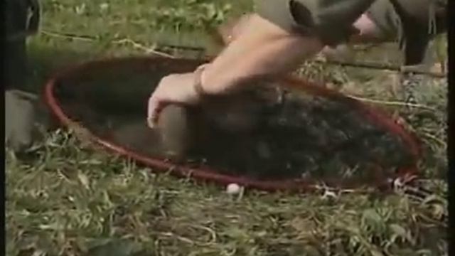 Ловля форели. Рыбалка. Trout fishing with Des Taylor. смотреть онлайн