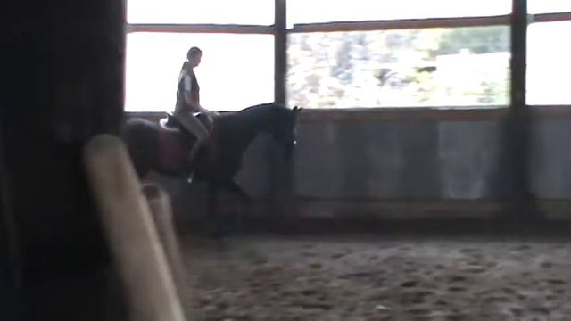 Эскуриал сентябрь2013 смотреть онлайн