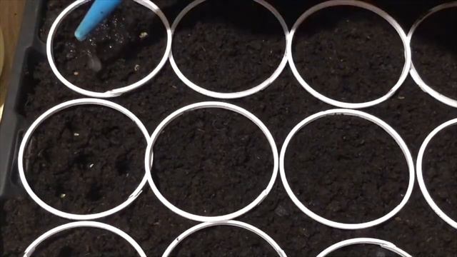 Посев томатов! Сезон 2020 смотреть онлайн