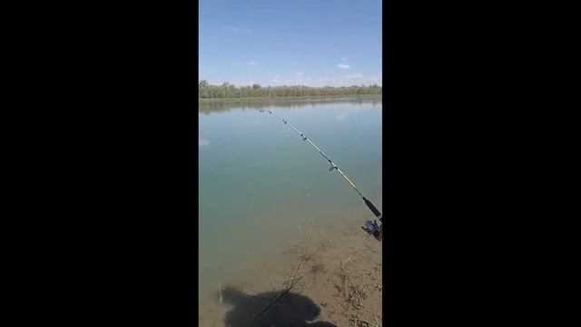 Приколы на рыбалке 2023 / Смешные случаи на рыбалке / Девушки на рыбалке / Шок рыбалка смотреть онлайн