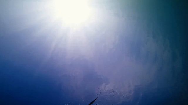 Догнал карася. Туман под водой. июль 2022 смотреть онлайн