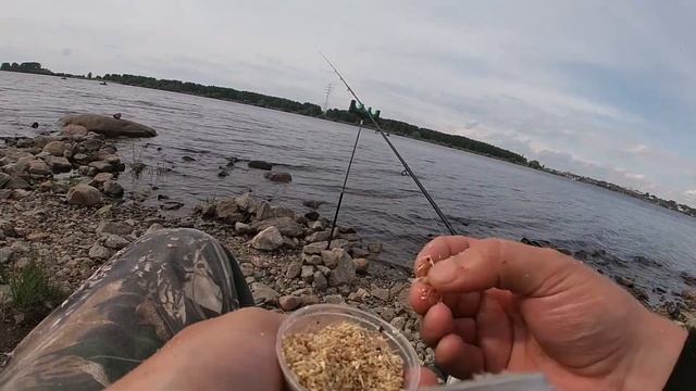 Рыбалка на фидер р. Волга "черная львинка" часть 1. Фидер смотреть онлайн