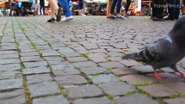 Бонн - город Бетховена смотреть онлайн