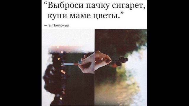 Цитаты о жизни мудрых людей 4 смотреть онлайн