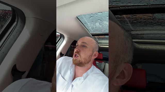 Кошка-жена смотреть онлайн