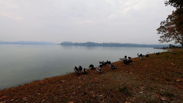 Целомудренная женщина в современном мире смотреть онлайн