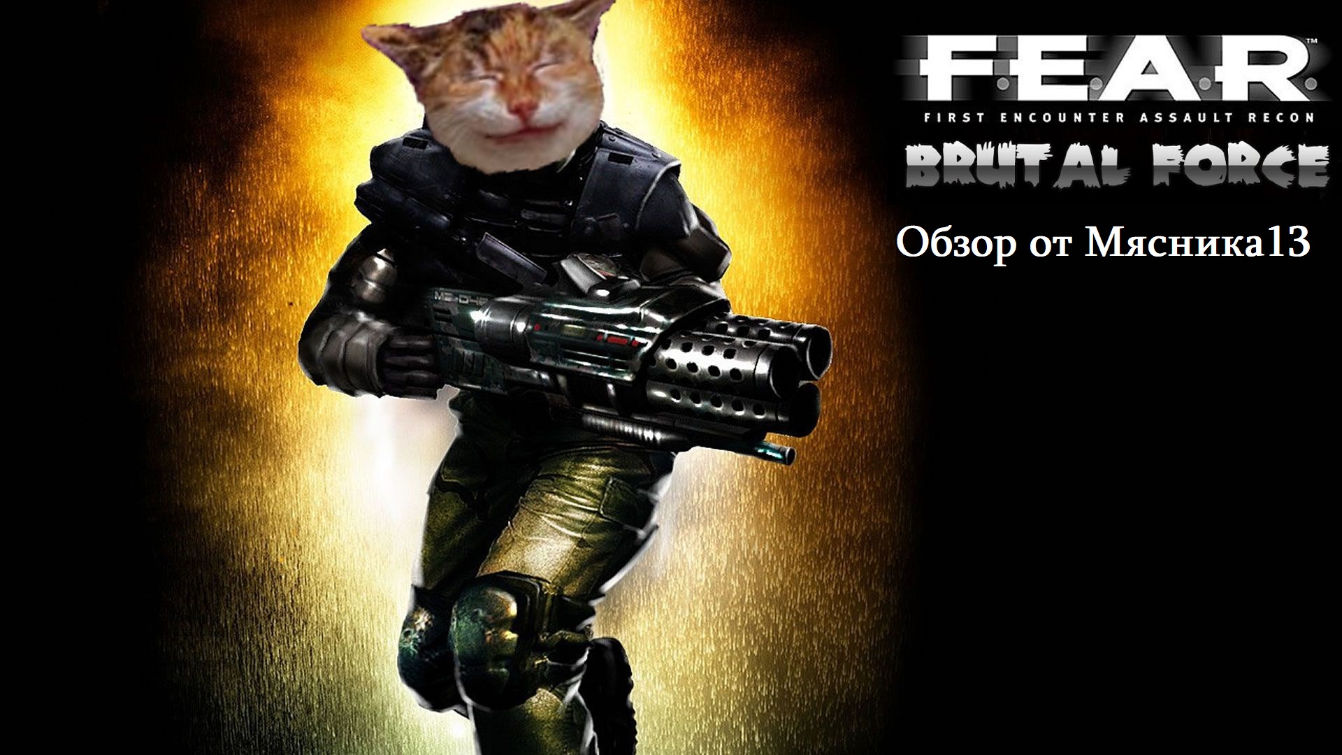 Обзор игры F.E.A.R.: Brutal Force от Мясника13