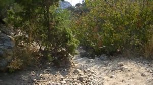 ЦАРСКИЙ ПЛЯЖ/ НОВЫЙ  СВЕТ / КРЫМ