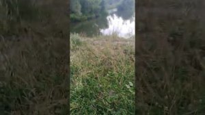 Алтайский край город Новоалтайск..... Река Чесноковка