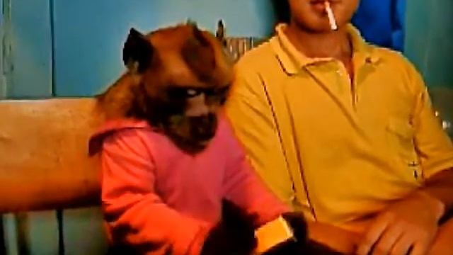 Мы бандито гангстерито смотреть онлайн