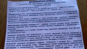 Чем пропаить цыплят с первых дней жизни/ Ветеринарная аптечка/ Какие препараты нужны