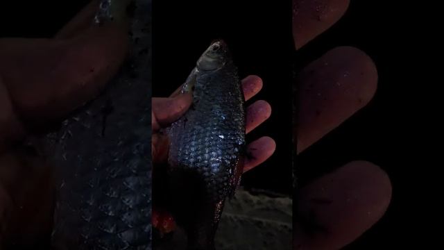 Причалы городской черты. Балтийск смотреть онлайн