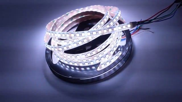 Shenzhen Factory Supply 24V 5050 SMD RGBW 4 In 1 Color 96Leds LED Waterproof Flexible LED Strip Lig смотреть онлайн
