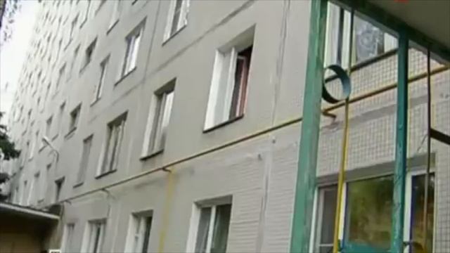 Собака загрызла ребенка смотреть онлайн