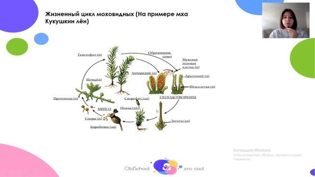 ЕГЭ, биология, занятие 1, Жизненные циклы растений смотреть онлайн