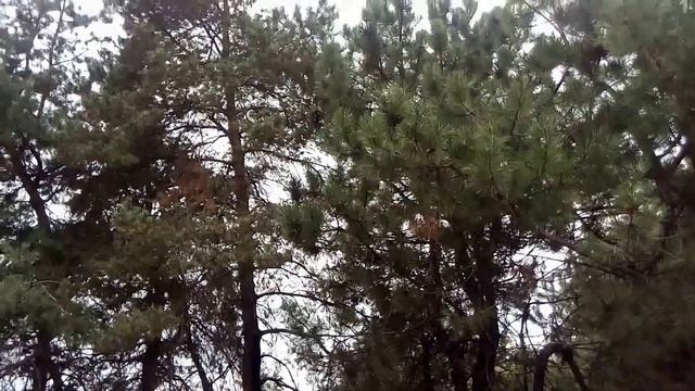 2 ноября праздник Артемьев День . Народные приметы и традиции смотреть онлайн