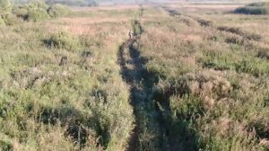 Охота на лося на реву в Беларуси 2020 | Часть первая