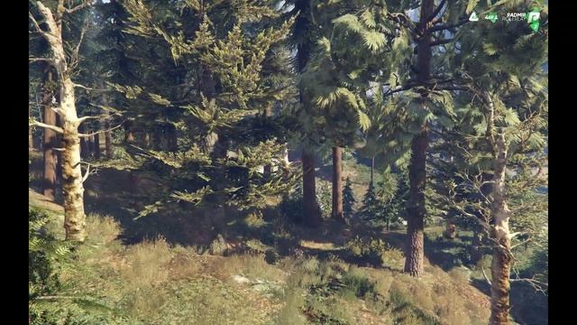 ПОЛНЫЙ ГАЙД О КОРПОРАЦИИ! КАК ДЕЛАТЬ ПО 5.000.000$ В НЕДЕЛЮ!? СОВЕТЫ И ЛАЙФХАКИ В GTA5 RP(Radmir)