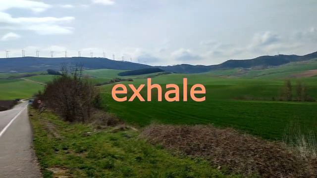 12 секунд вдох выдох задержка дыхания Inhale Exhale Breath Hold Ejercicios De Respiración Pranayama