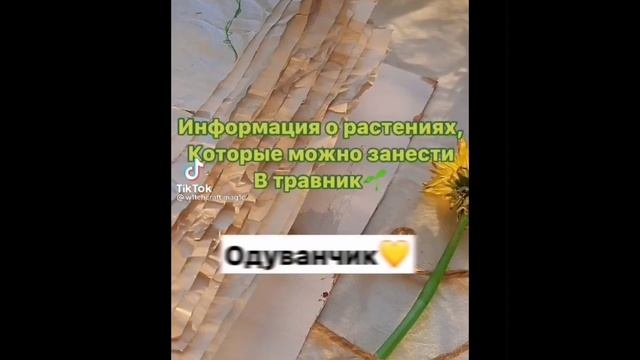 ✨?☘️для ведьмочек и травниц✨?☘️#1 смотреть онлайн