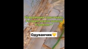 ✨?☘️для ведьмочек и травниц✨?☘️#1