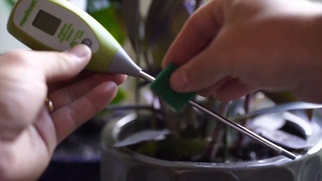 Rapitest® Soil Moisture Meters