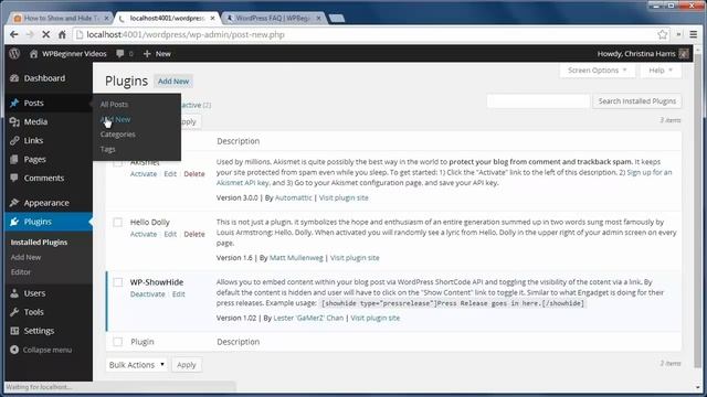 How to Show and Hide Text in WordPress Posts with the Toggle Effect смотреть онлайн
