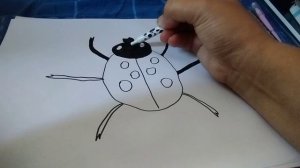 Рисуем Божья коровка