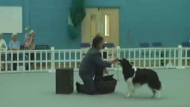 Emmy and Whisper performing to the Olsen Banden Theme смотреть онлайн