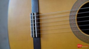 Акустическая и классическая гитара — в чем разница? | ArbatGuitar