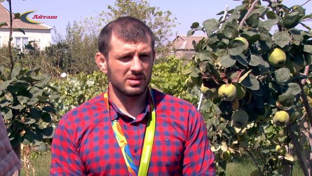 Чествование призера Олимпиады РИО - 2016 в Куруше смотреть онлайн