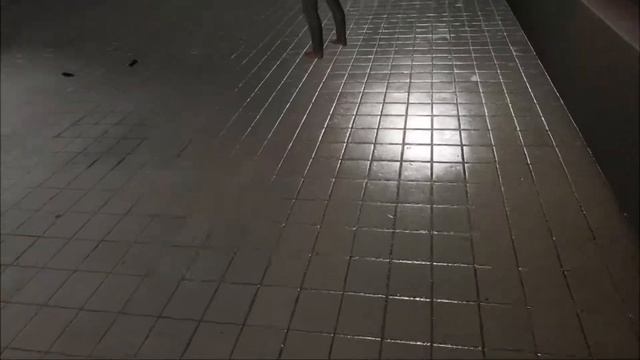 Blood trail Vr Brutality 9 смотреть онлайн