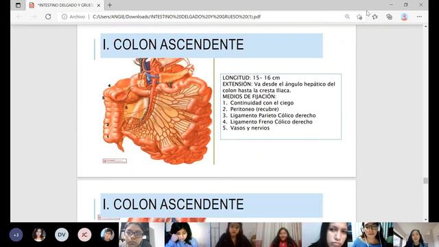 Semana 12 Turno C: Anatomía I / Intestino Grueso/ 27-05-2021 смотреть онлайн