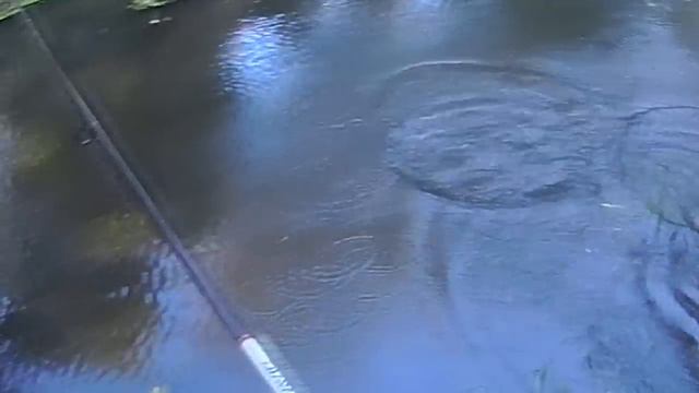 Микро речка. Щука, Голавль. Осень 2014 (Малая река) смотреть онлайн