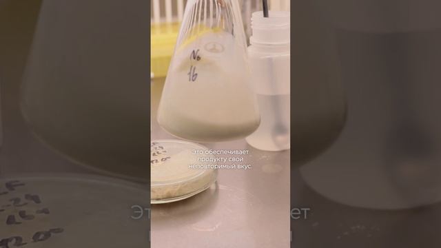 Определить регион по вкусу молочной продукции? «Лица науки»: выпуск 34 | Автор: НИУ БелГУ смотреть онлайн