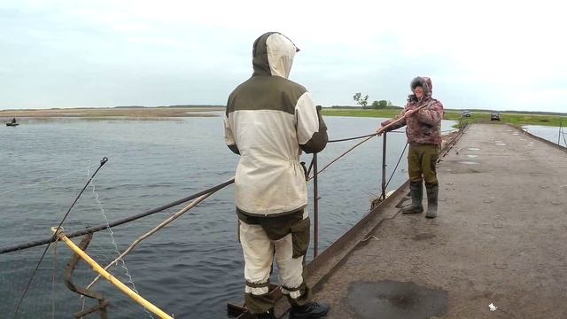 Рыбалка на паук летом ЁКЛМН Рыбалка на щуку Рыбалка экраном Рыбалка 2019 смотреть онлайн