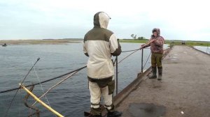 Рыбалка на паук летом ЁКЛМН Рыбалка на щуку Рыбалка экраном Рыбалка 2019