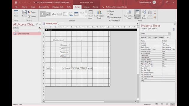 MS Access Option Groups - How to Use Radio Buttons смотреть онлайн