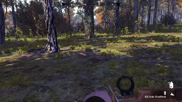 Прохождение Cabela's Big Game Hunter: Pro Hunts - SOUTHEAST HDPC Часть 4 смотреть онлайн