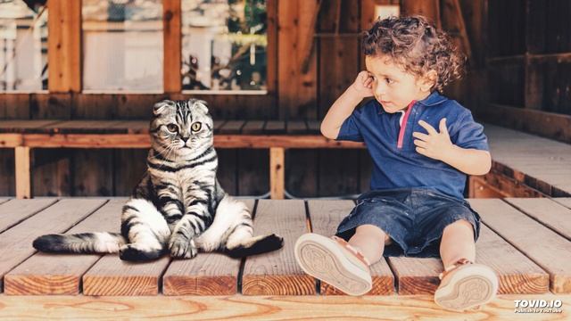 Забавная история (Полька) (Лучшая Инструментальная Музыка) смотреть онлайн