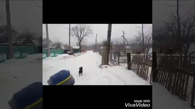 Merry Christmas/Новогоднее Видео/А у вас есть новогоднее настроение?! смотреть онлайн