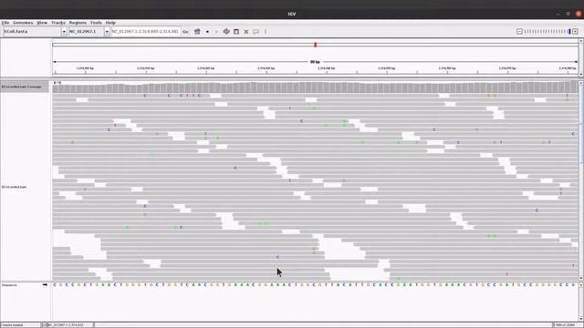 IGV (Integrative Genome Viewer) Software Tutorial | Howto visualize bam files | Episode 1 смотреть онлайн