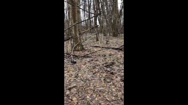 Коп по оврагам- xp deus смотреть онлайн