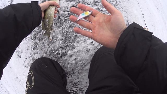 Ратлины (вибы) с алиэкспресc смотреть онлайн