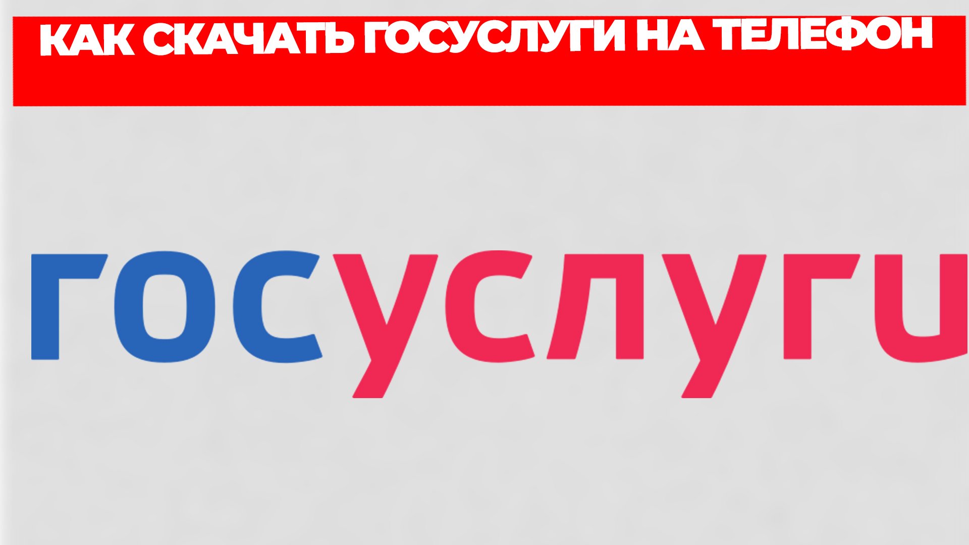 Всезнающий Енот