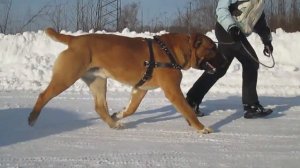 Движения Луча. Зима 2018.