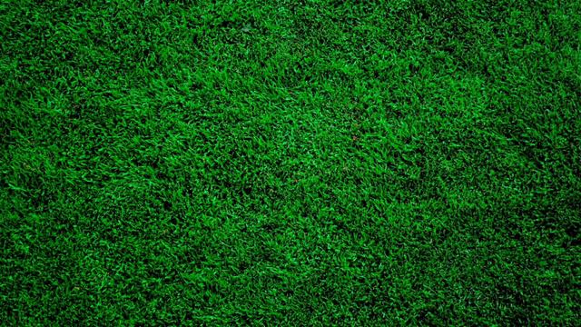 Путеводитель по микрорайону Яркий(г.Уфа) - Яркий гид!