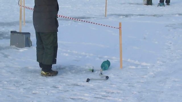 Платная рыбалка в Пирогово-Коргашино смотреть онлайн