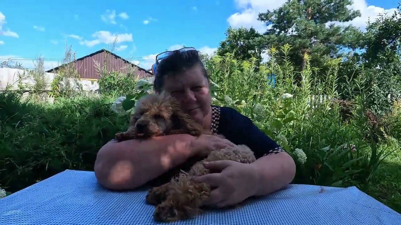 Первый раз в этом году приготовили курицу в духовке и первый раз пью Кофе без кофеина /Щенки Шпица смотреть онлайн